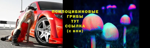 винт Армянск