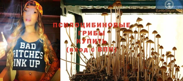 винт Армянск