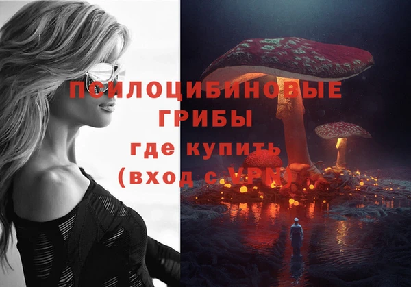 эйфоретик Арсеньев