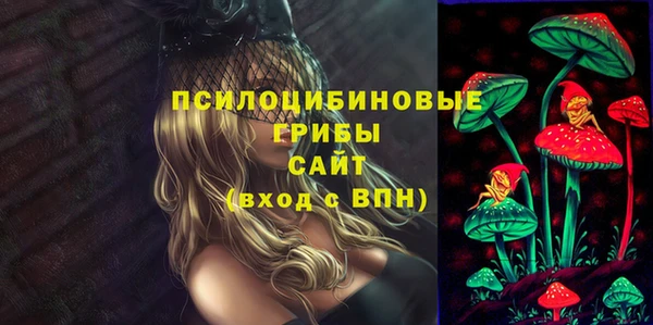 эйфоретик Арсеньев