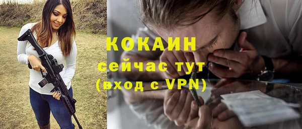 эйфоретик Арсеньев