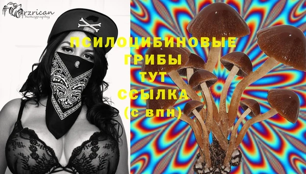 винт Армянск